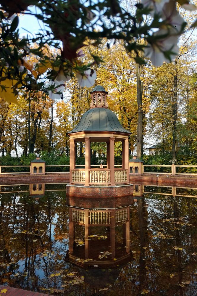 В Летнем саду