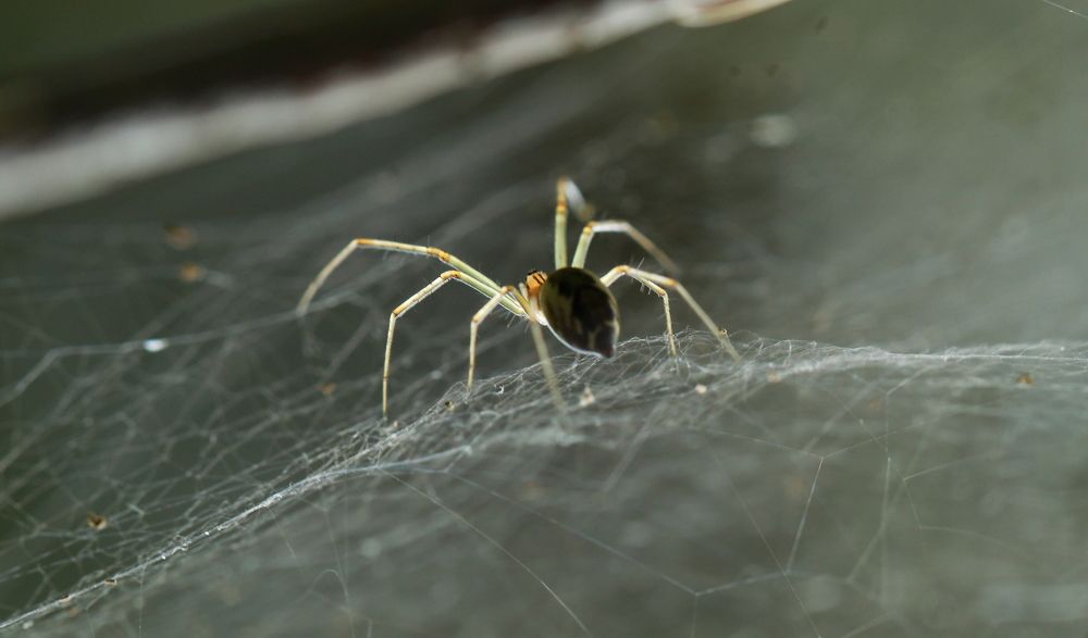 Photograph by Елена Красавина