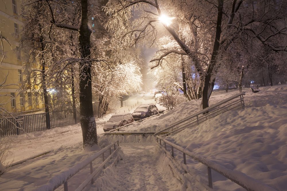 Ночная сказка