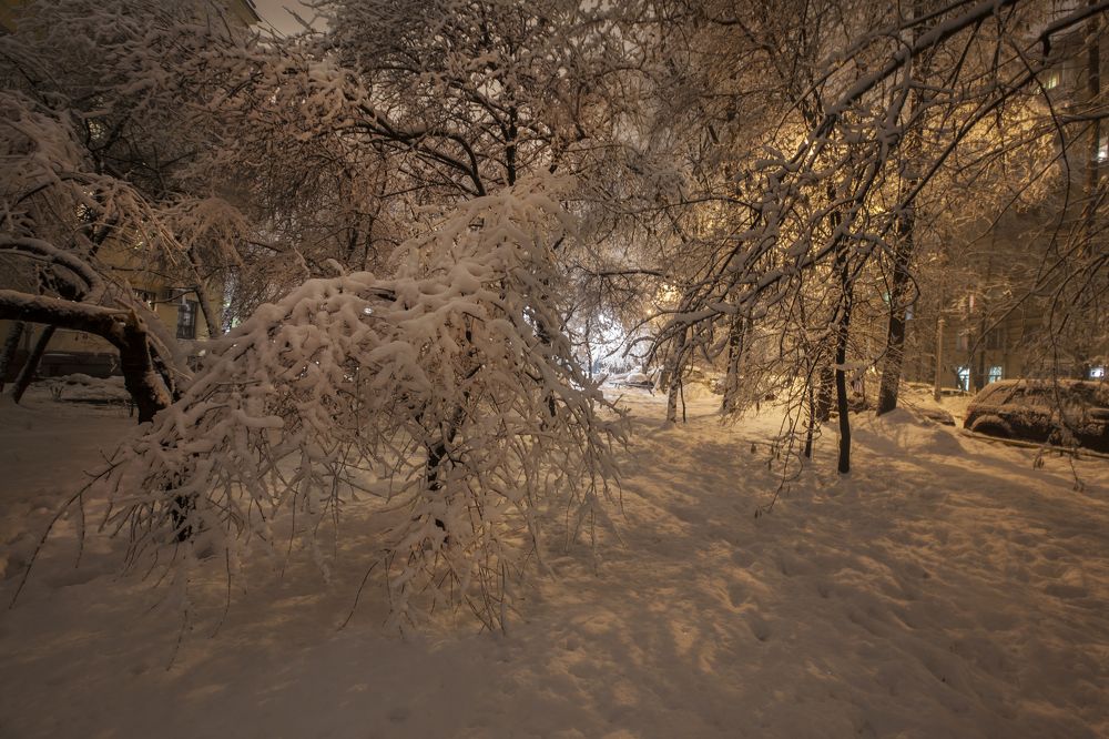 Ночной снегопад