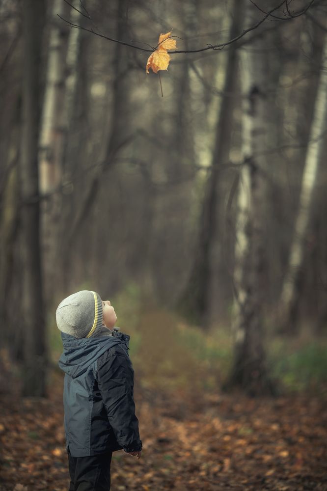 уходящая осень