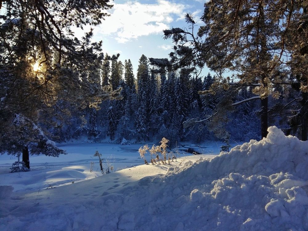 Ускользающий день