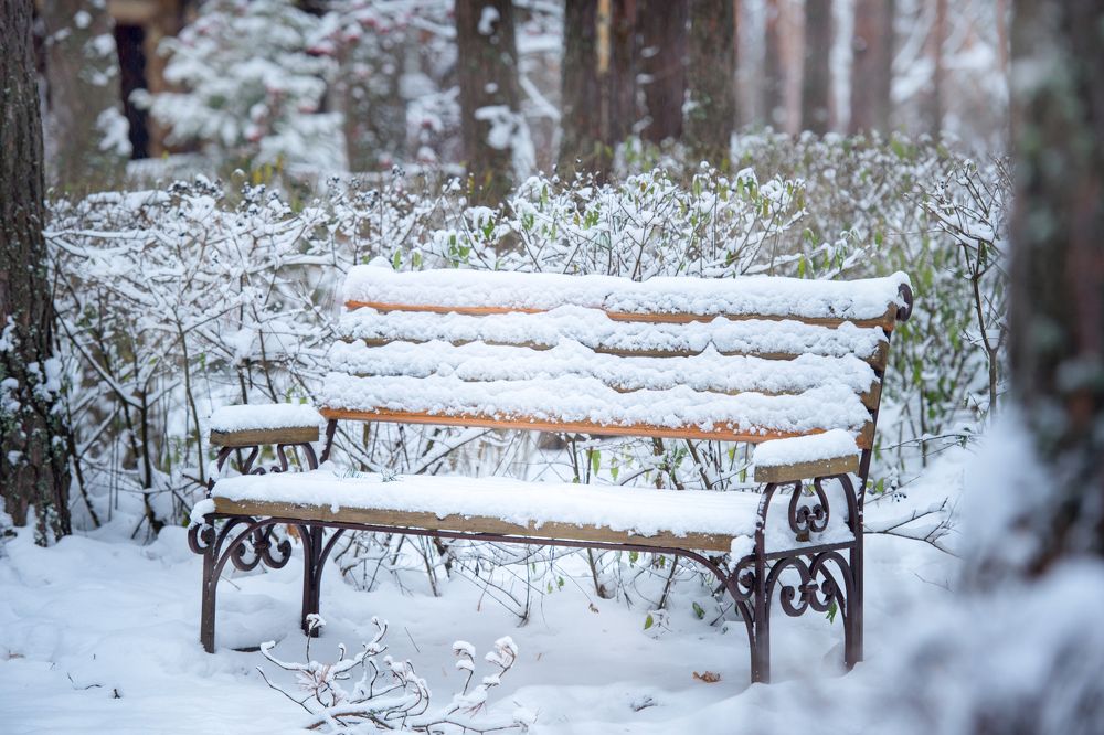скамейка в снегу