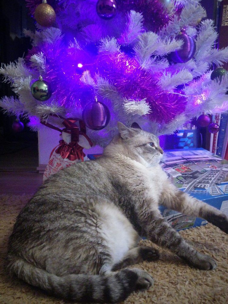 Новый год