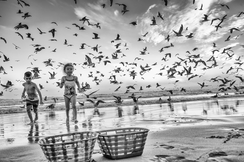 Catching the Kids ... ( Alfred Hitchcock )