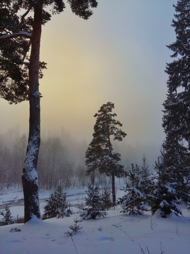 На склоне дня