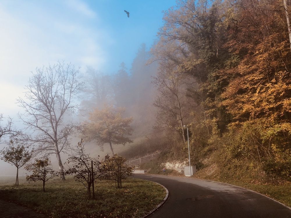 Осенний сон