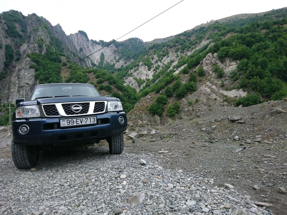 горный волк