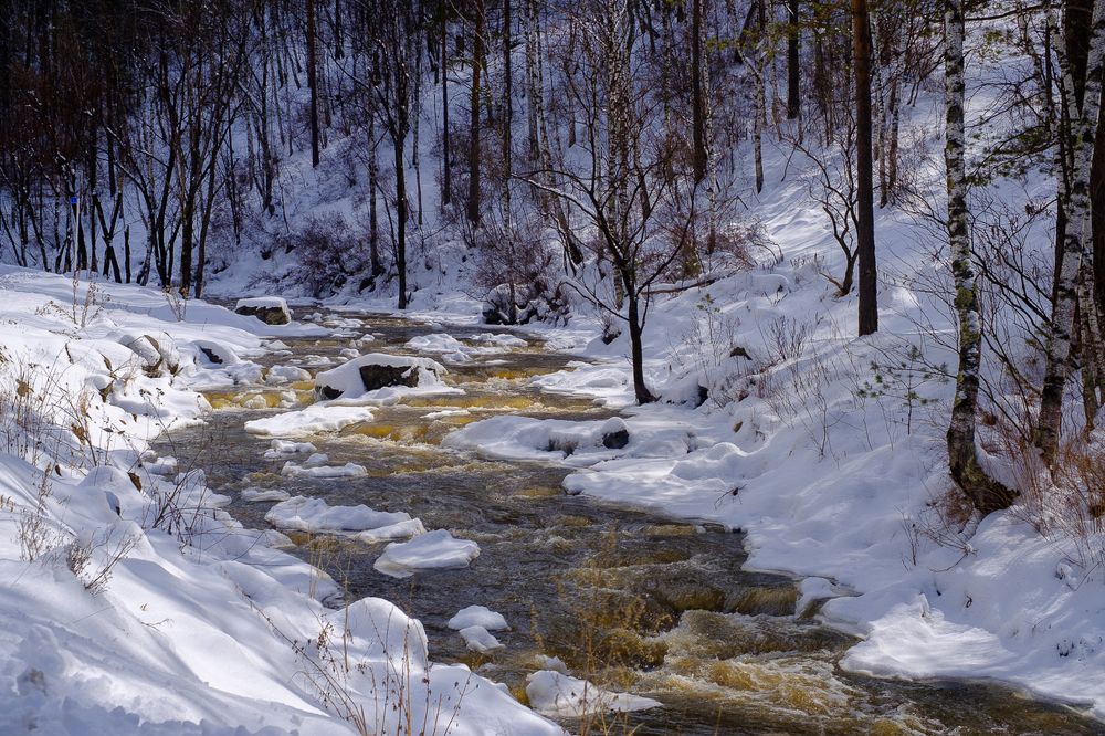 Photograph by Павел Синегубов