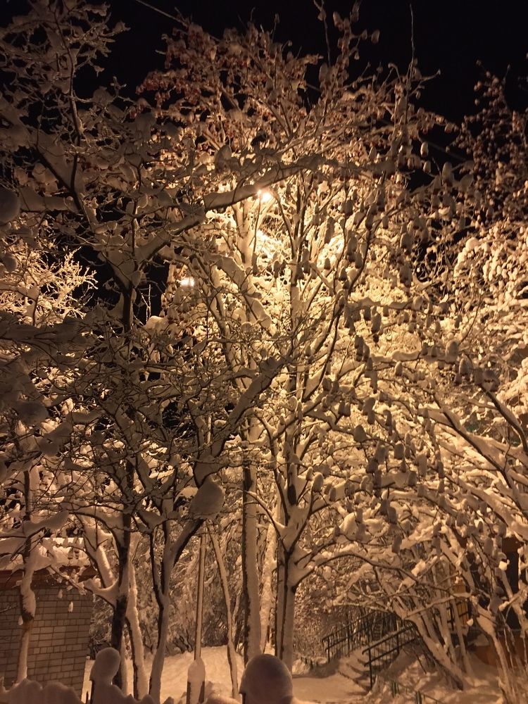 Полярная ночь.