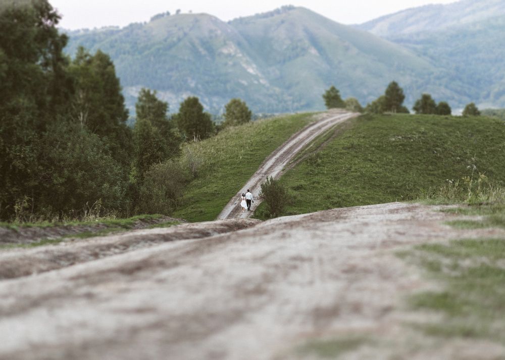 Дорога в жизнь