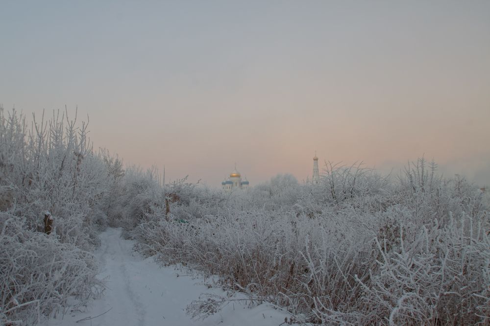 зимнее утро за городом