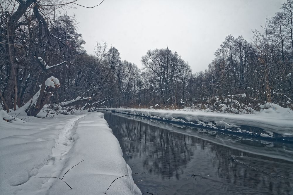 серый день, белый снег