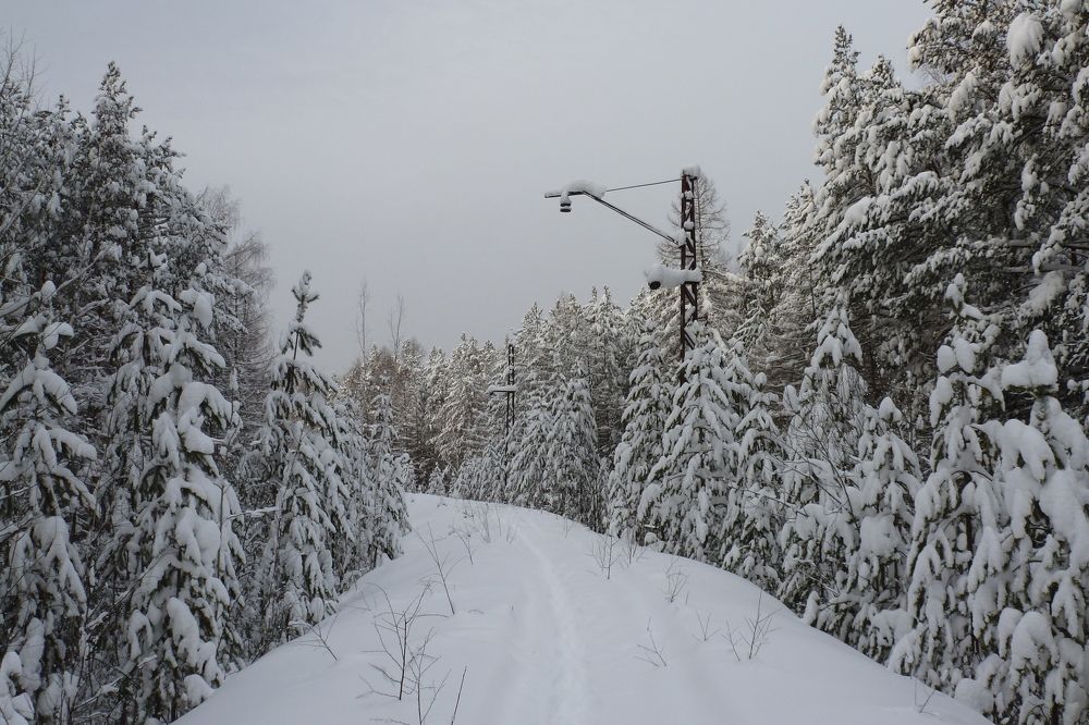 Зимняя дорога