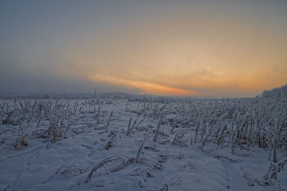 рассвет в поле