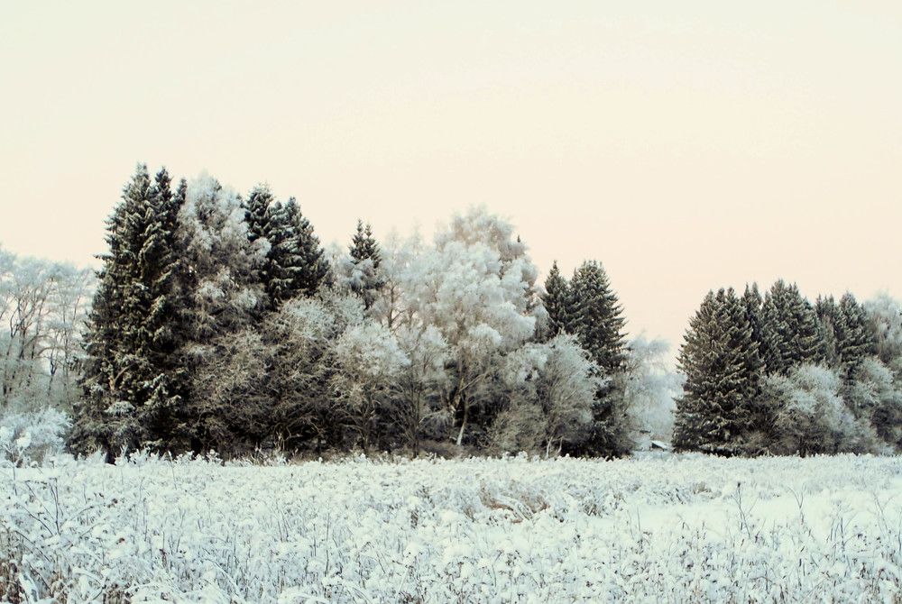 Раннее утро