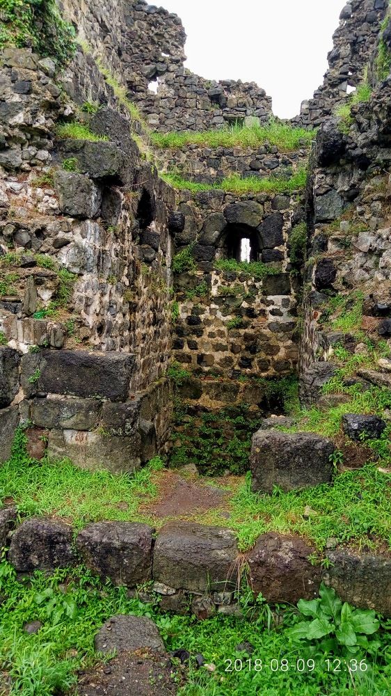 Фотография автора Olesya Kiknadze