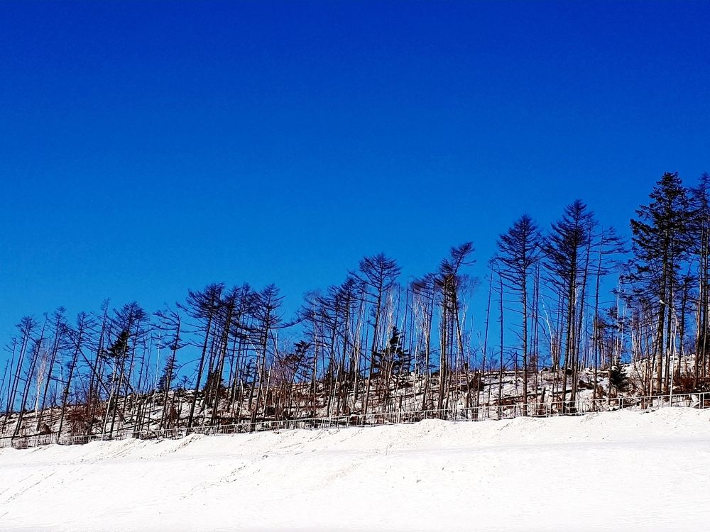 Photograph by Фролова Диляра