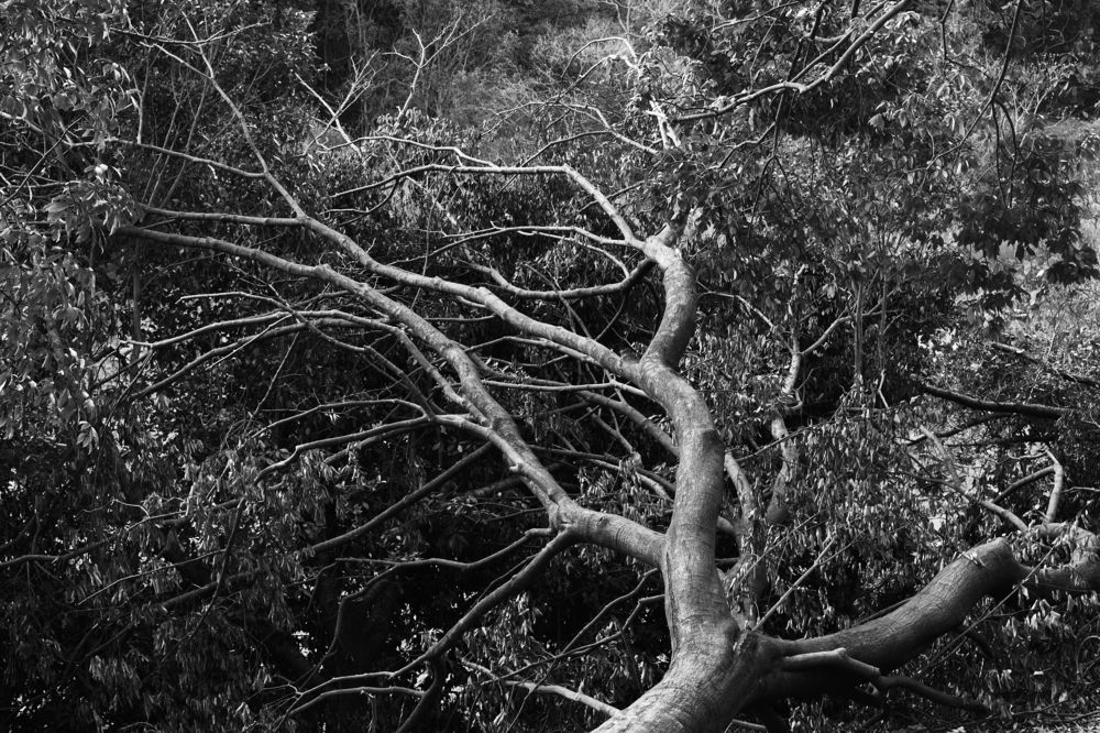 After Typhoon