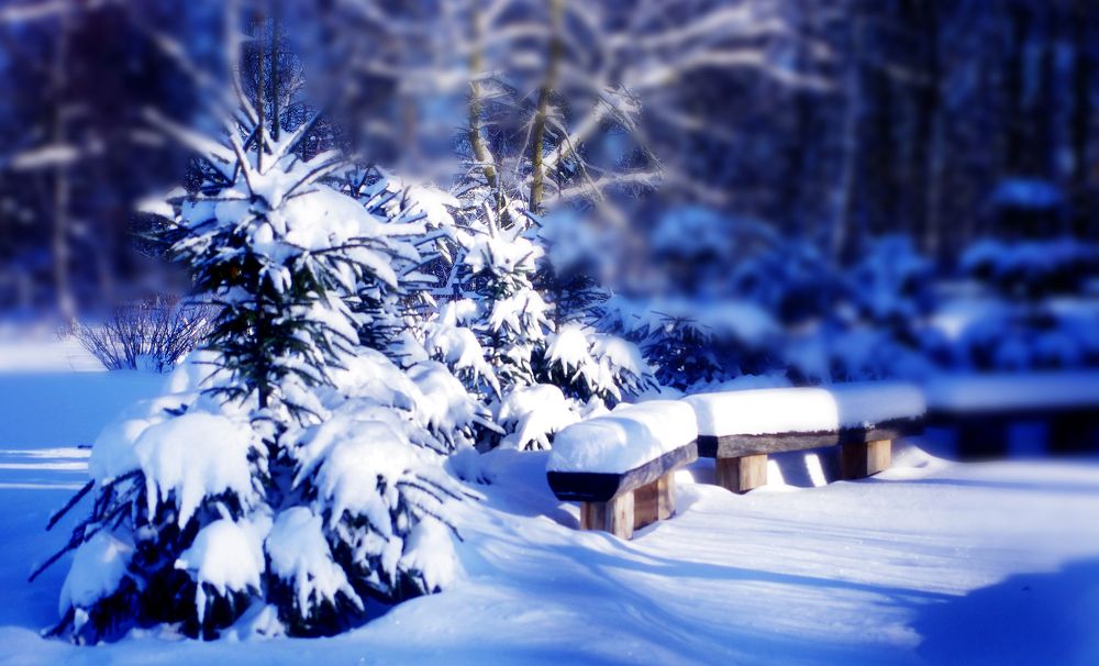 ЗИМНИЙ ДЕНЬ