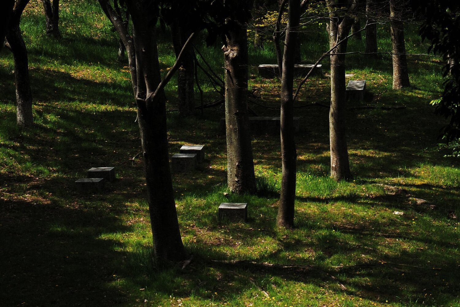 Down lights on the green ground