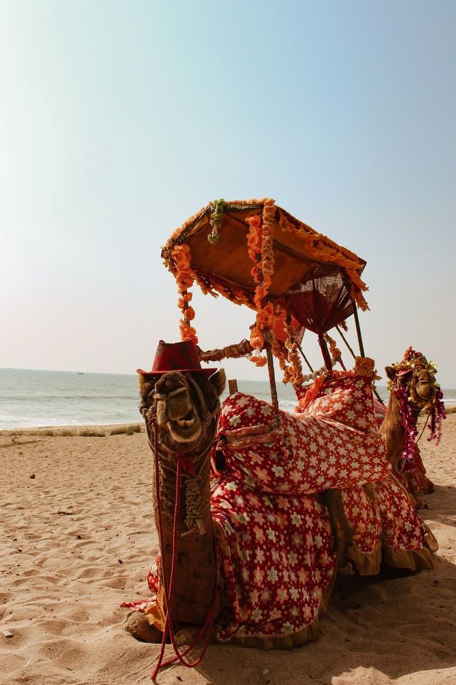 Photograph by Pallavi Keswani