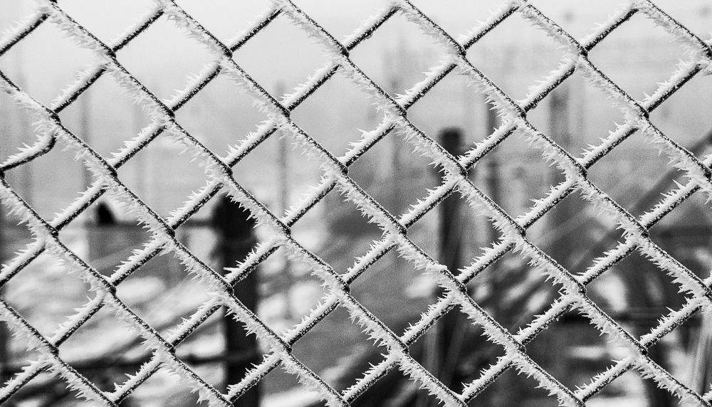 Зимняя симетрия