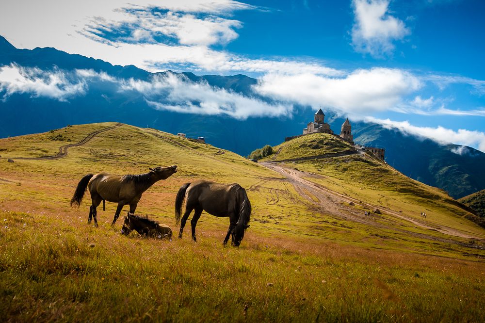 Photograph by Алексей Калугин