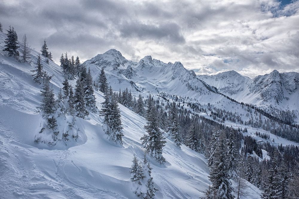 Зимние контрасты