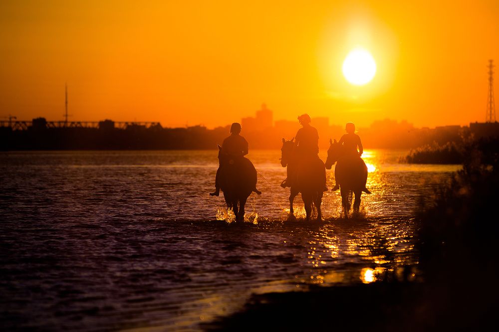 На закате дня