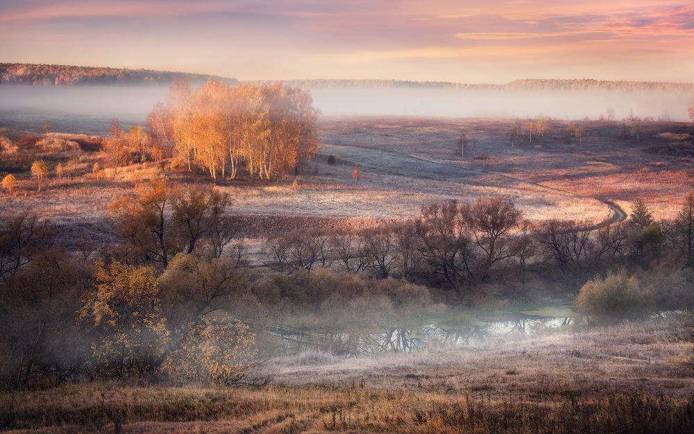 Осеннее утро в Калужской области.