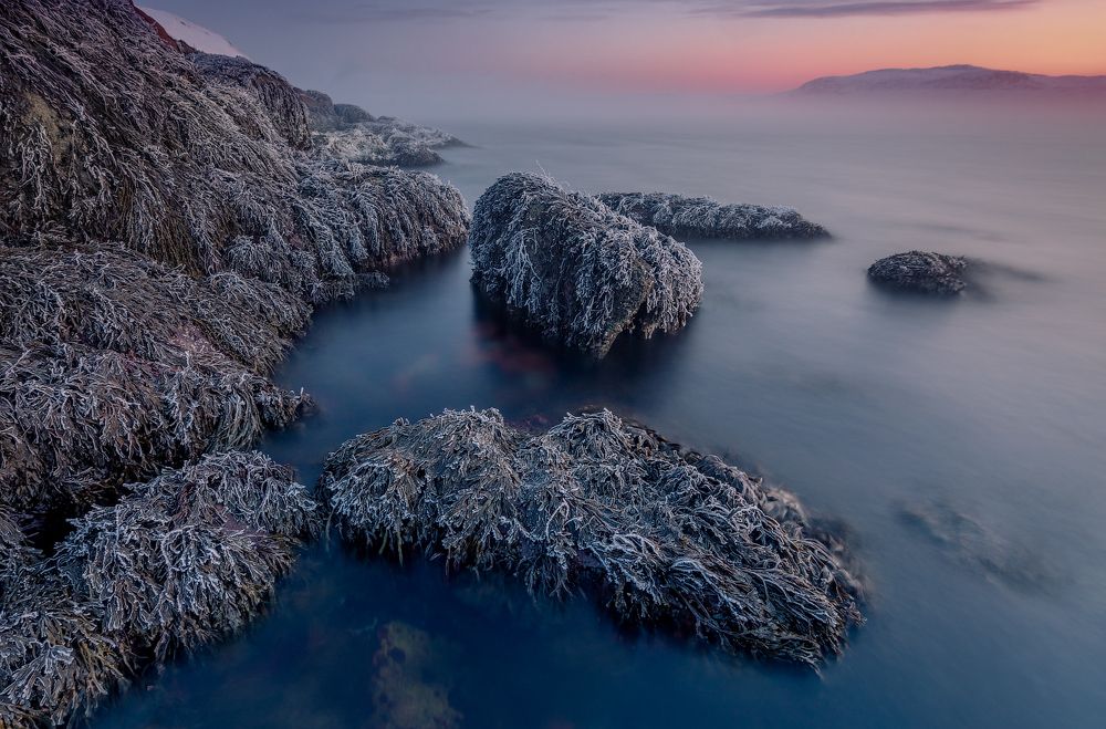 Утро на камнях