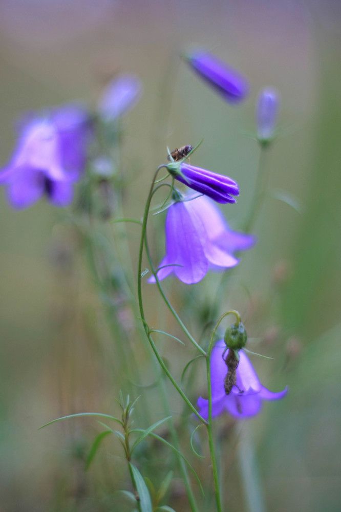 Фотография автора Евгений Король