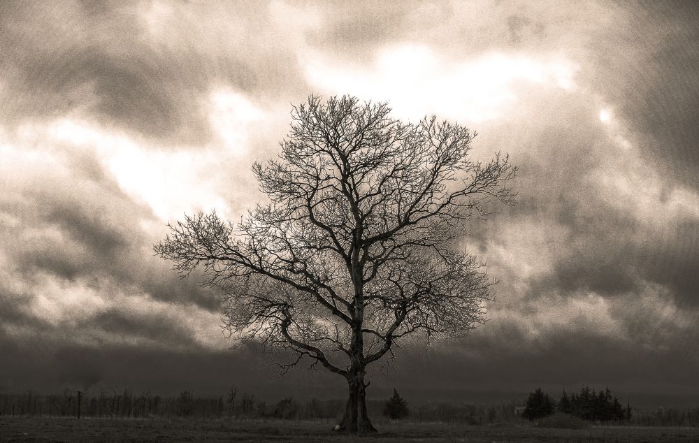 Обнаженная душа