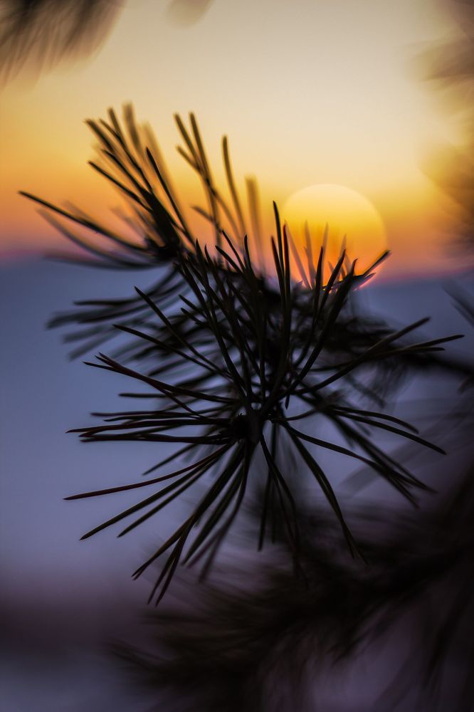 Зимовий захід