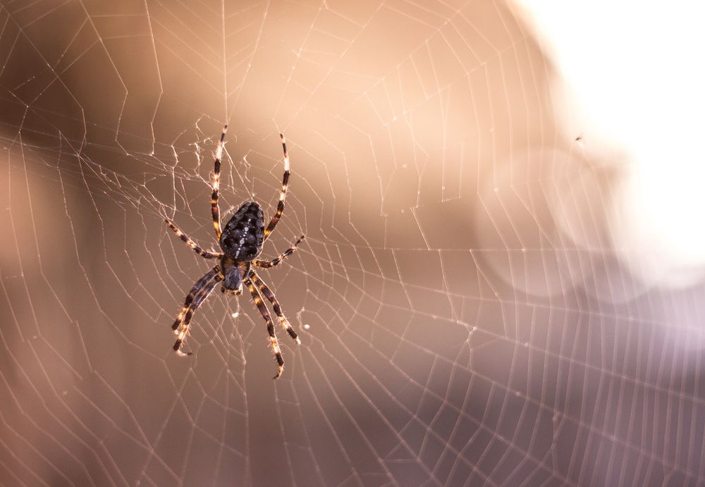 Photograph by Anzhela