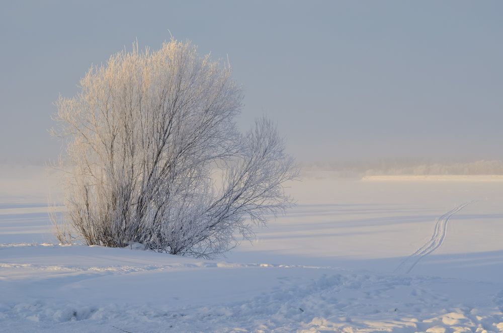 Морозная даль