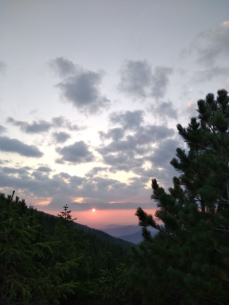 Photograph by Anzhela