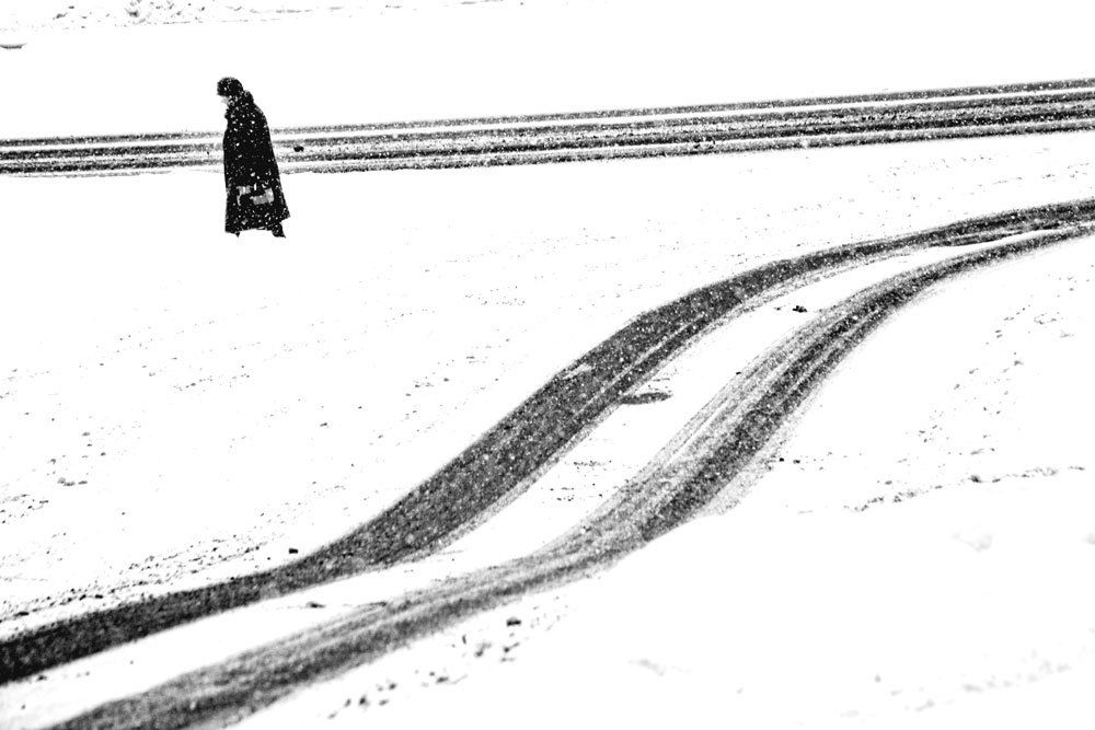 Полосатая жизнь