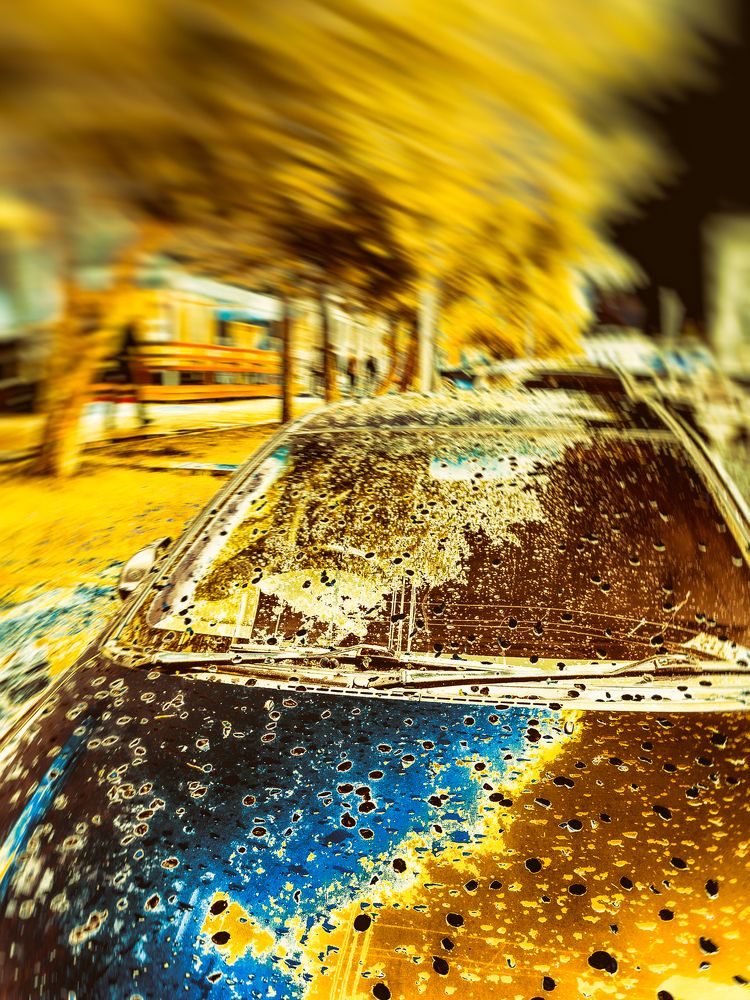 Осенний листопад