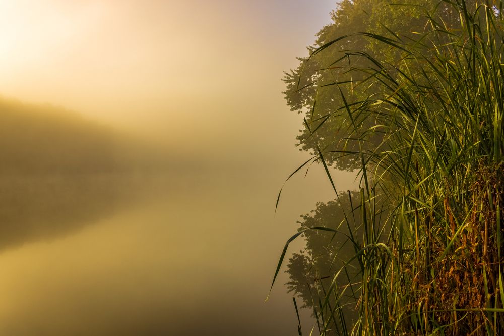 Осенние туманы