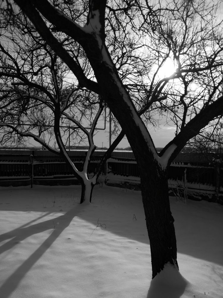 Первый снег