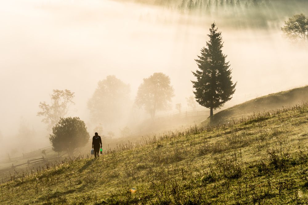 Photograph by Olari Ionut