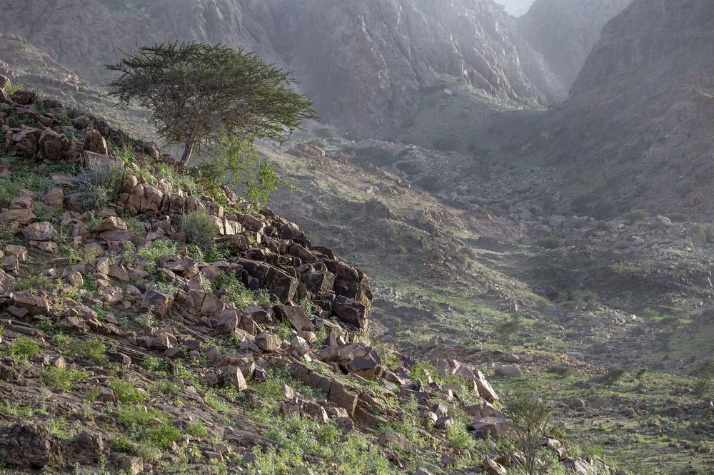 Alba Mountain in Winter