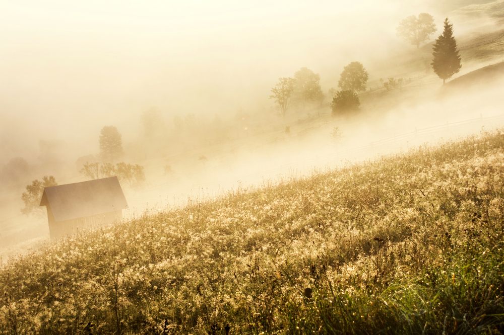 Photograph by Olari Ionut
