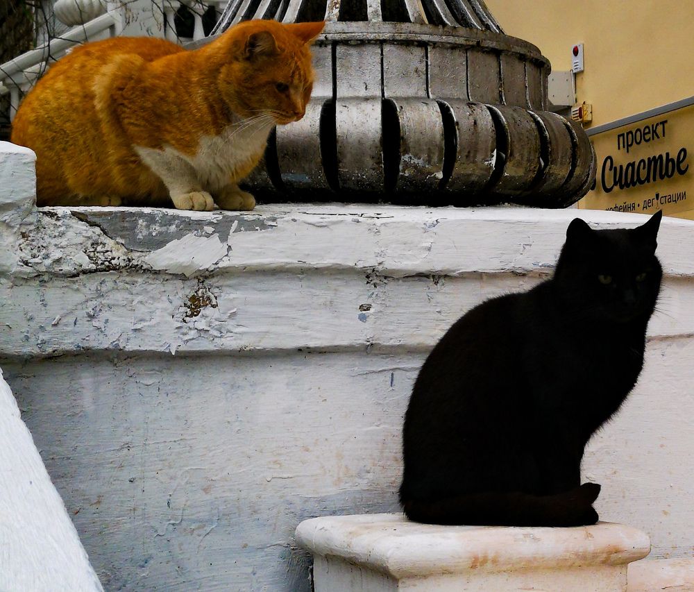 Photograph by Валерий