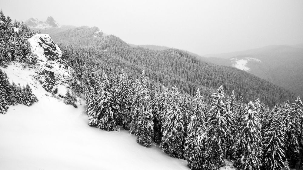 Photograph by Olari Ionut