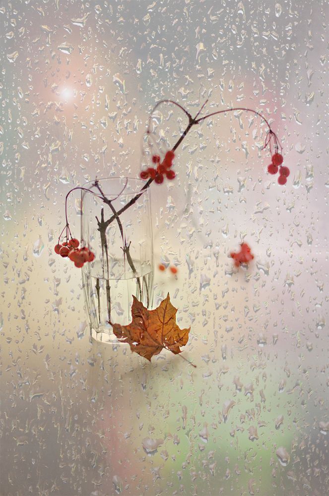 Мечтам предаваясь...