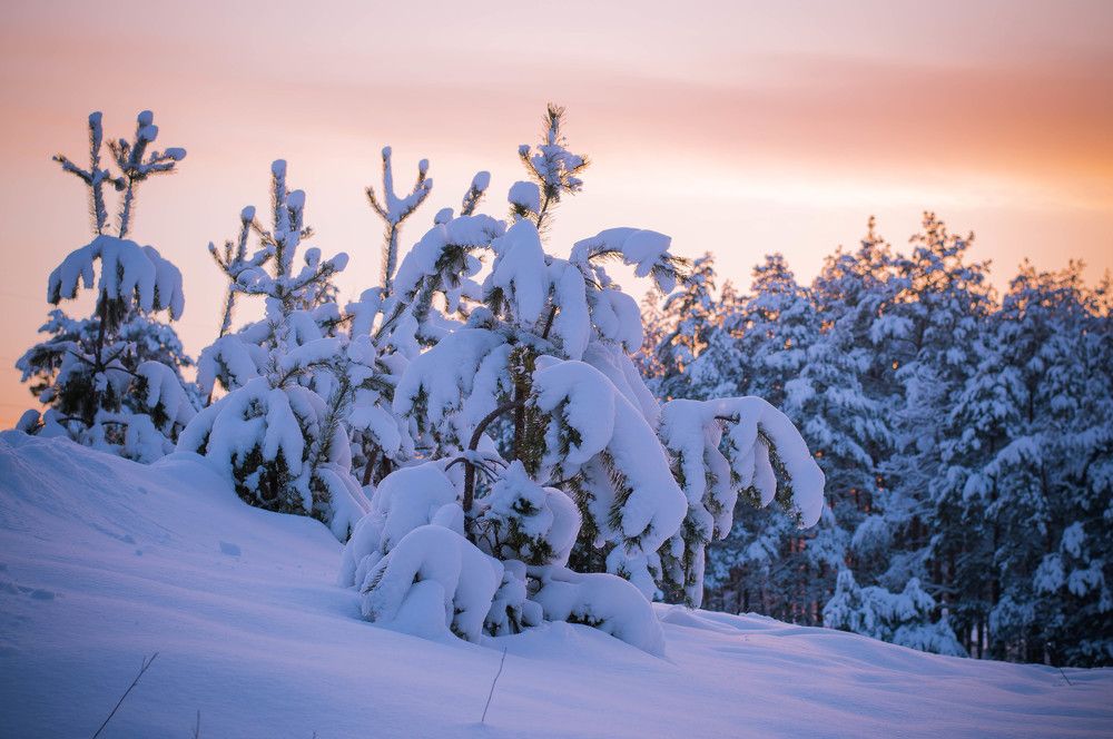 Photograph by Карпова Валентина