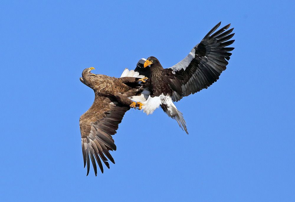 Photograph by Oleg Katugin